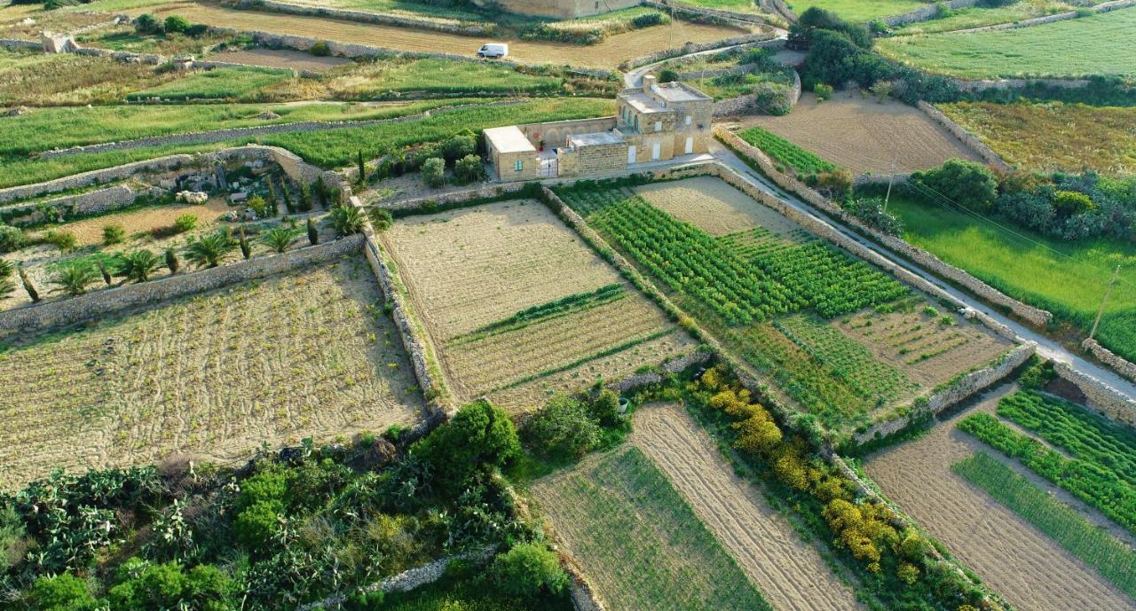 Sant Anton Tal-qabbieza *
